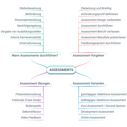 Big Picture und Übersicht der Assessment-Welt
